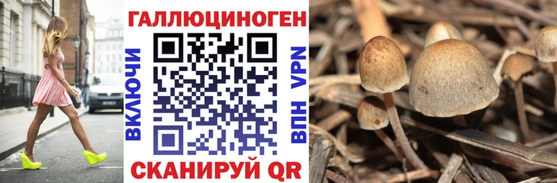 Галлюциногенные грибы прущие грибы  Купить закладки  Владивосток