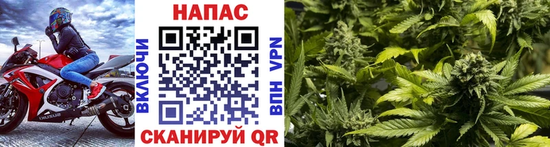 Шишки марихуана MAZAR  Купить закладки  Владивосток 